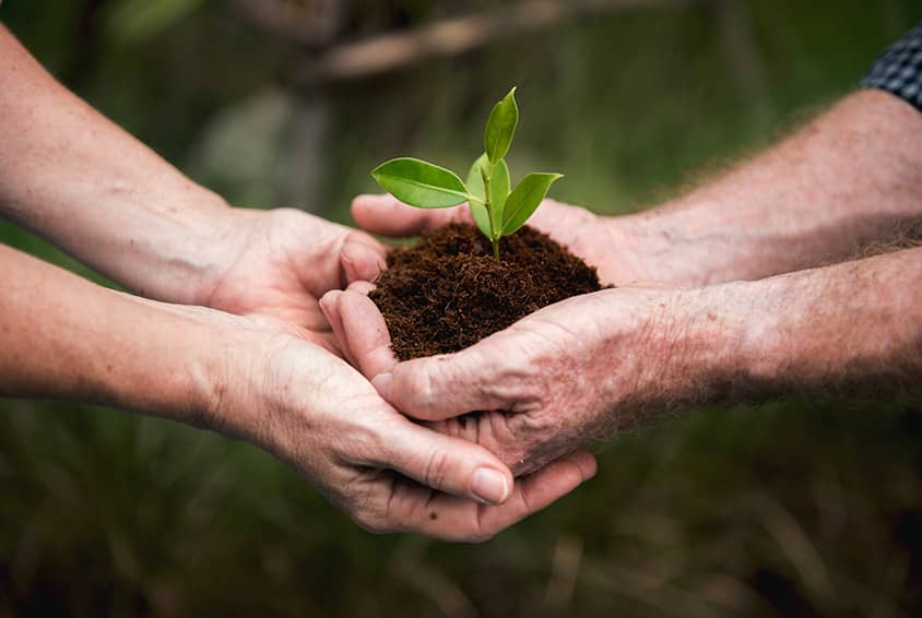 Two people holding earth between their hands to symbolise our united responsibility for the environment