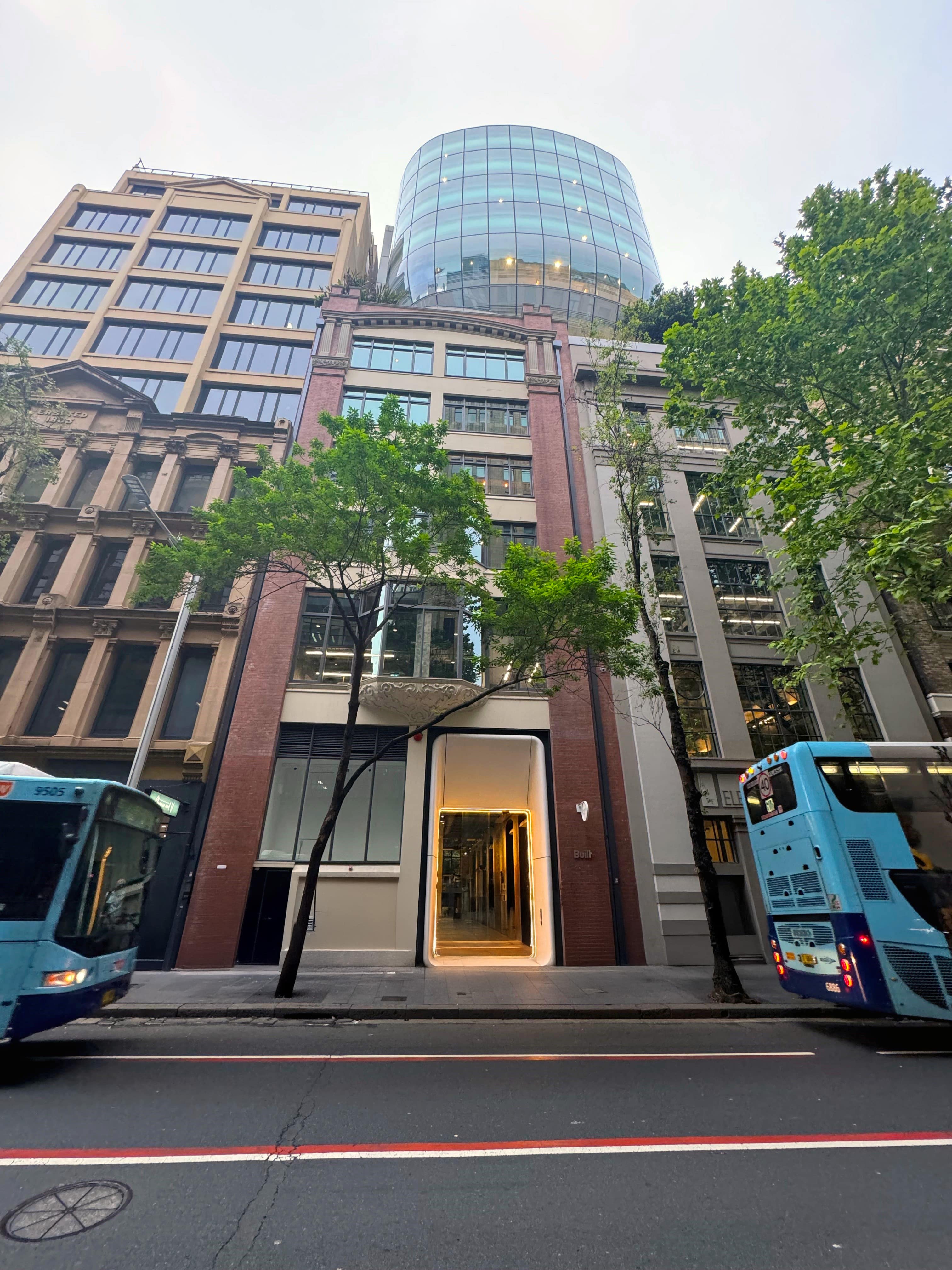 The front of the 183 - 185 Clarence Street Offices, with a large tree in the foreground and buses driving past